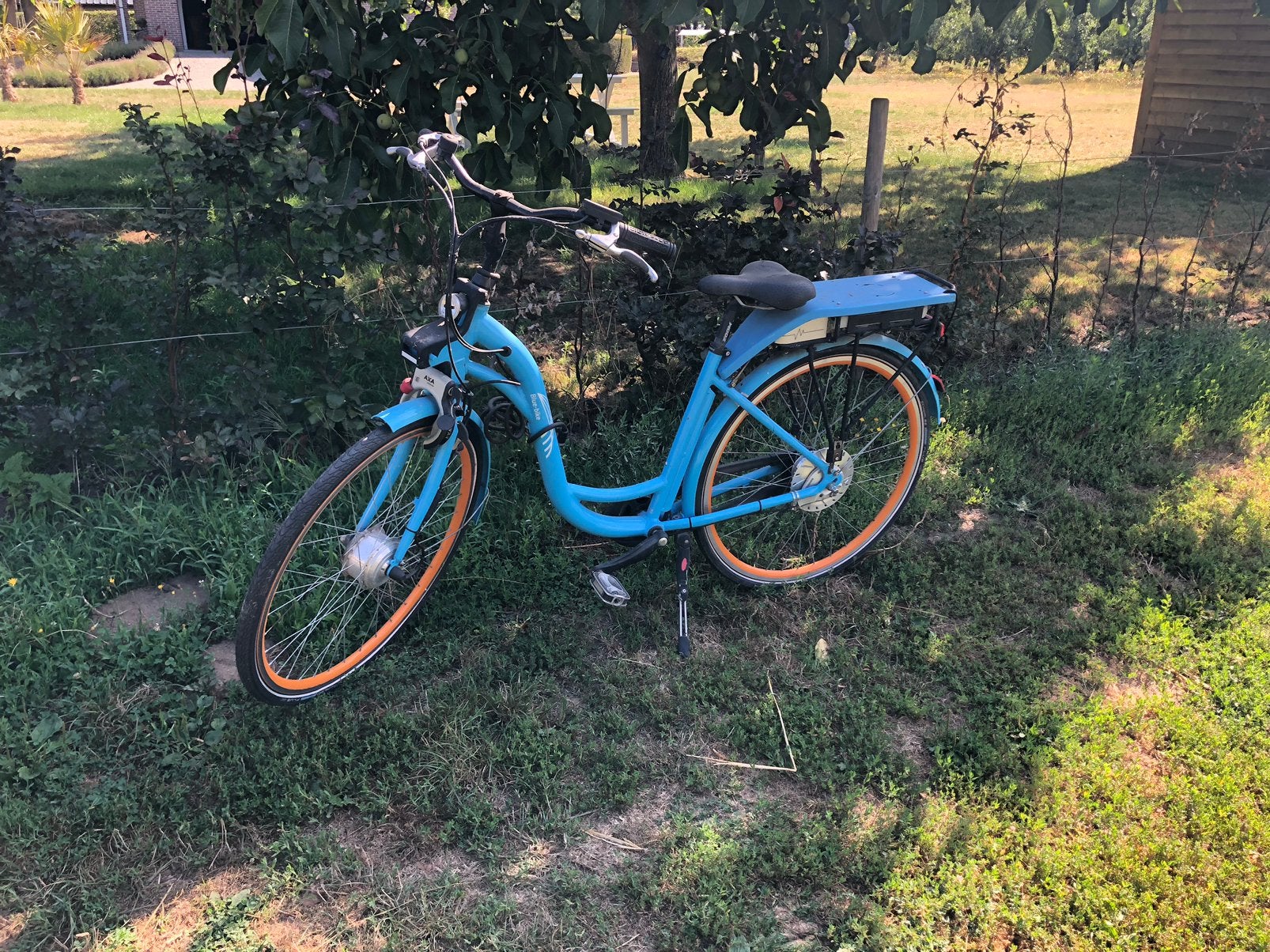 Blue bike, Enlèvement, Comme neuf