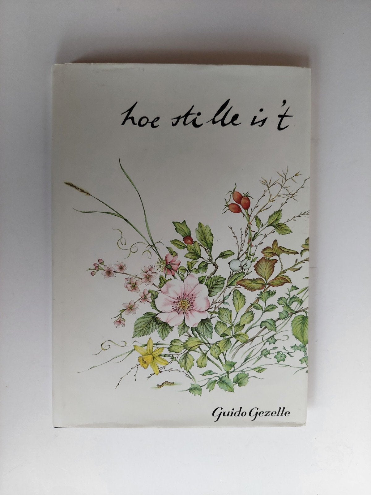 Hoe stille is 't - Guido Gezelle, Enlèvement