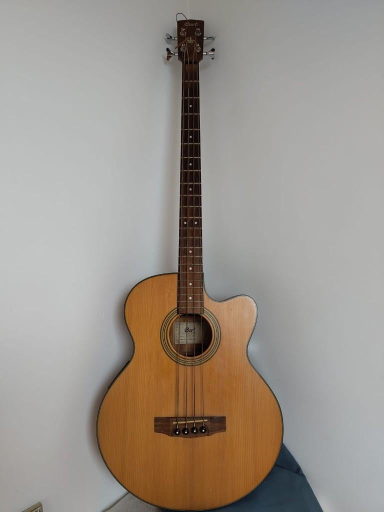 Acoustic Bass Guitar (Electro-Acoustic) Cort SJB5F NS -, Musique & Instruments, Instruments à corde | Guitares | Basses, Enlèvement