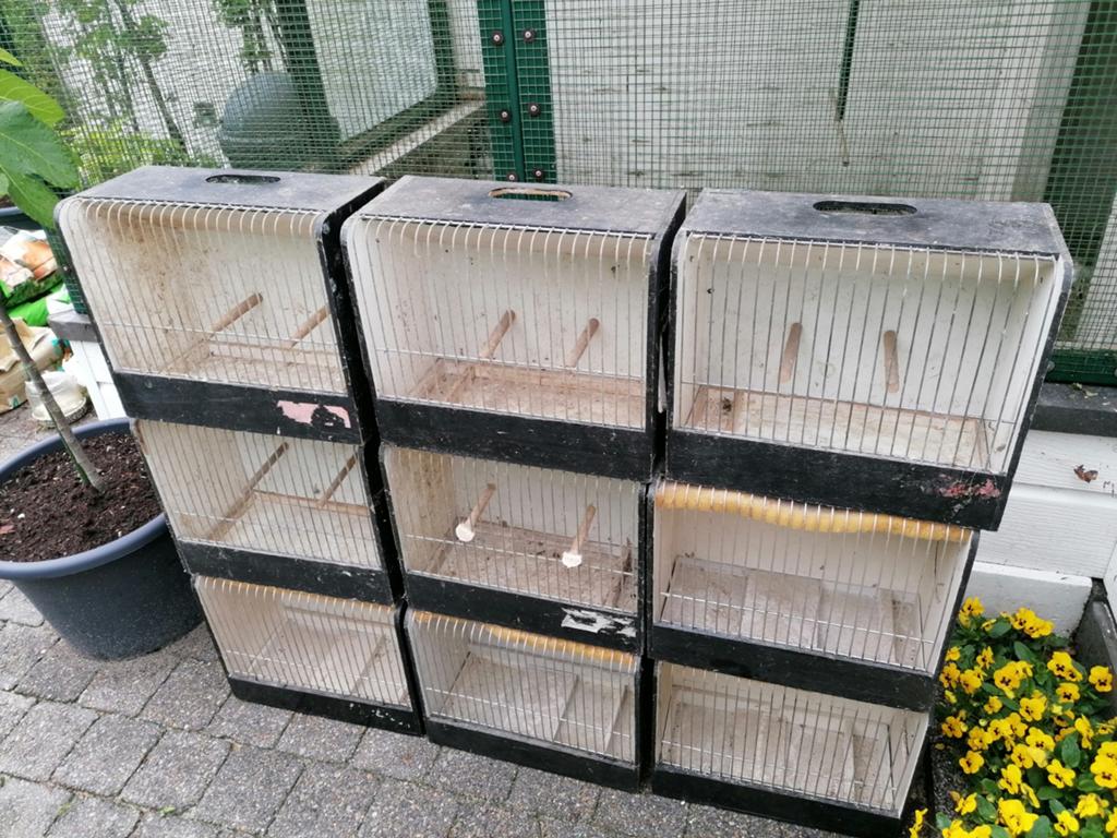 9 TTkooien gratis af te halen, Ophalen