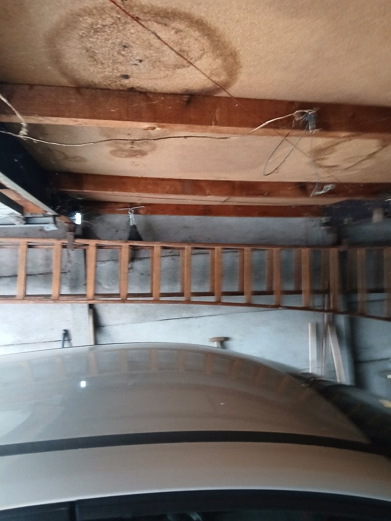 houten ladder, Doe-het-zelf en Bouw, Ophalen, Gebruikt, Ladder, Opvouwbaar of Inschuifbaar