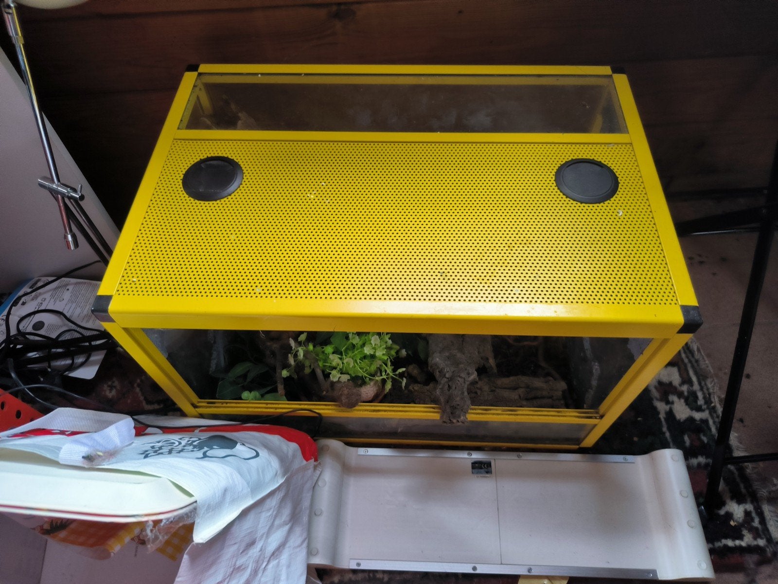 terrarium, Dieren en Toebehoren, Ophalen