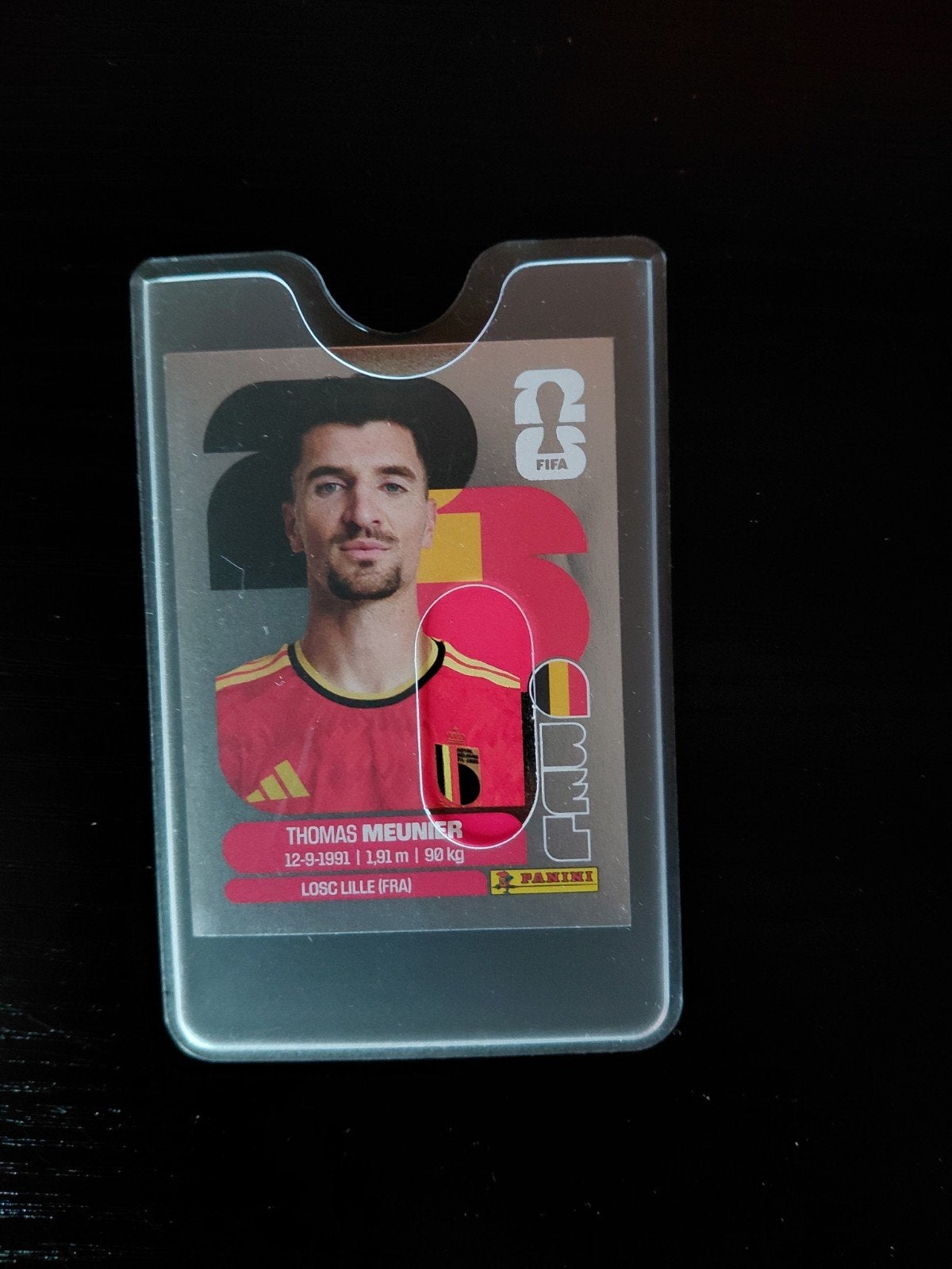 Panini, Enlèvement ou Envoi