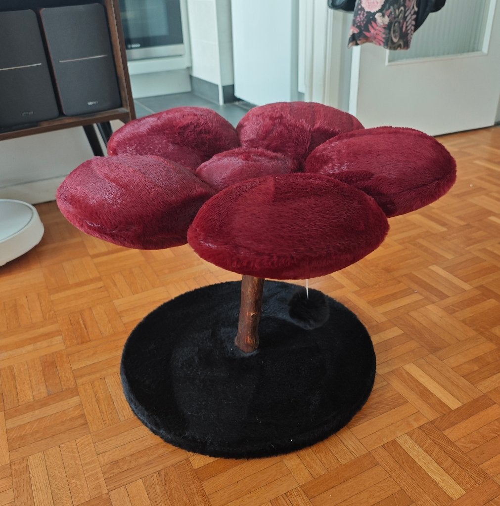 Lit pour chat en forme de fleur, Enlèvement, Neuf