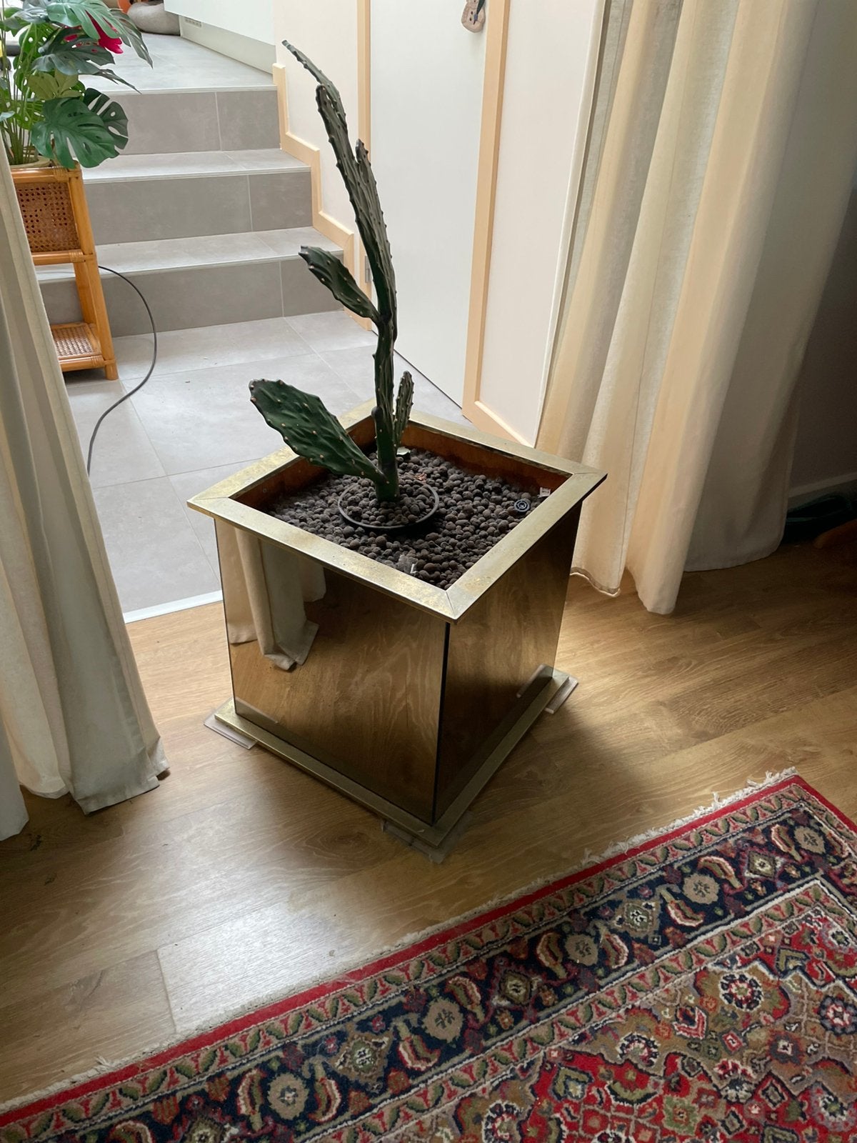 Vintage gespiegelde plantenbak in messing frame, Enlèvement, Comme neuf