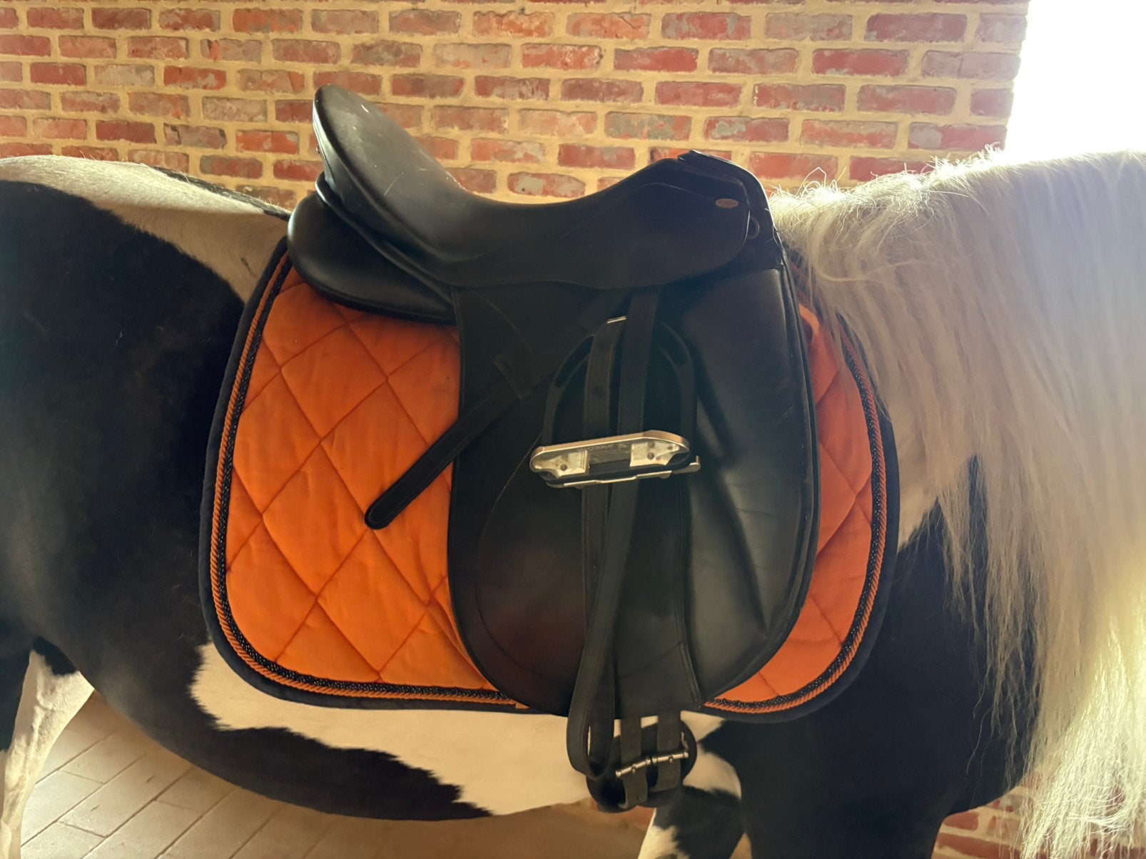 Kentaur elektra dressuurzadel 17,5”, Dieren en Toebehoren, Ophalen, Dressuur, Kentaur, Zo goed als nieuw