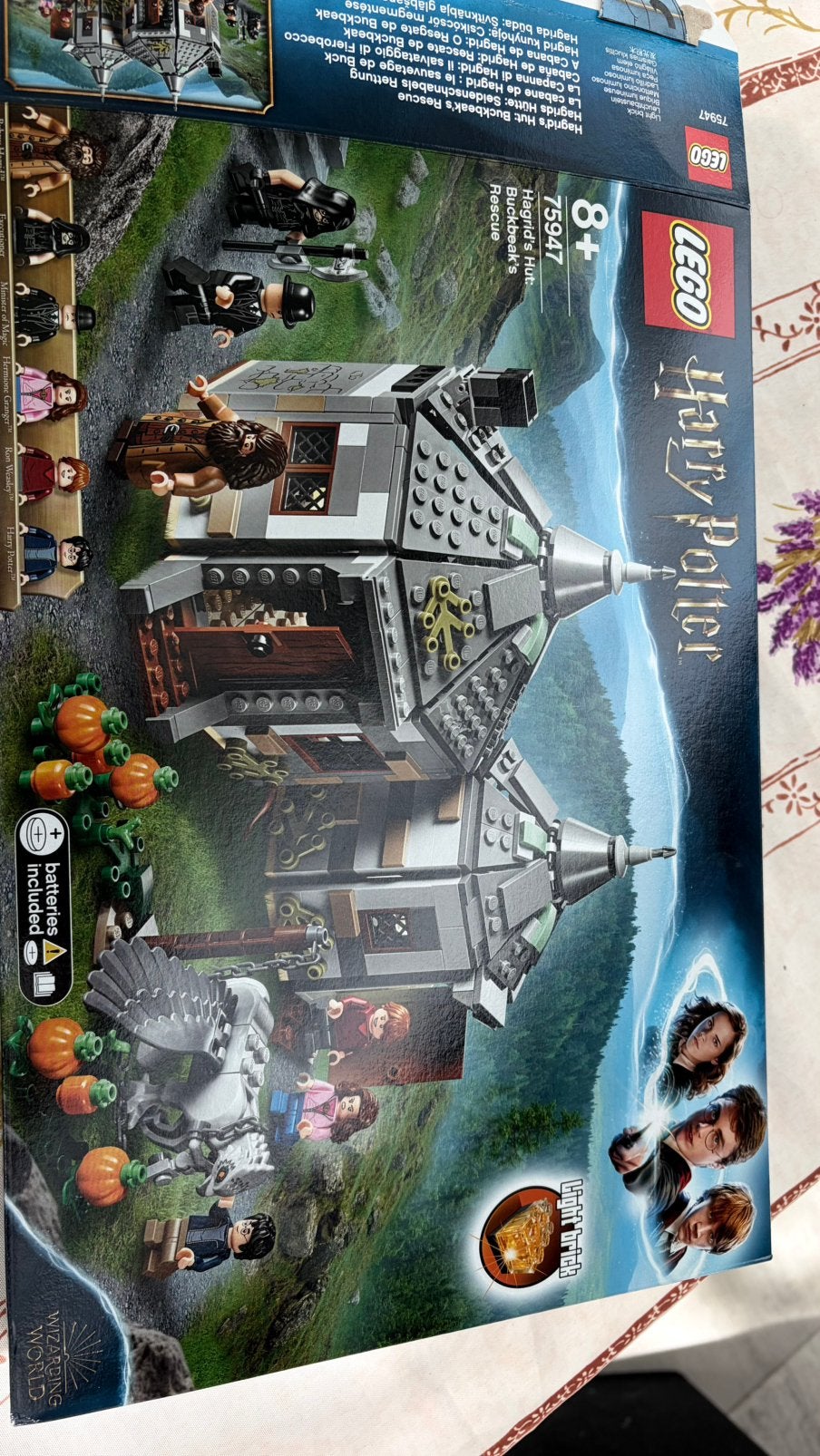 LEGO 75947 Harry Potter, Ophalen, Gebruikt, Lego, Harry Potter