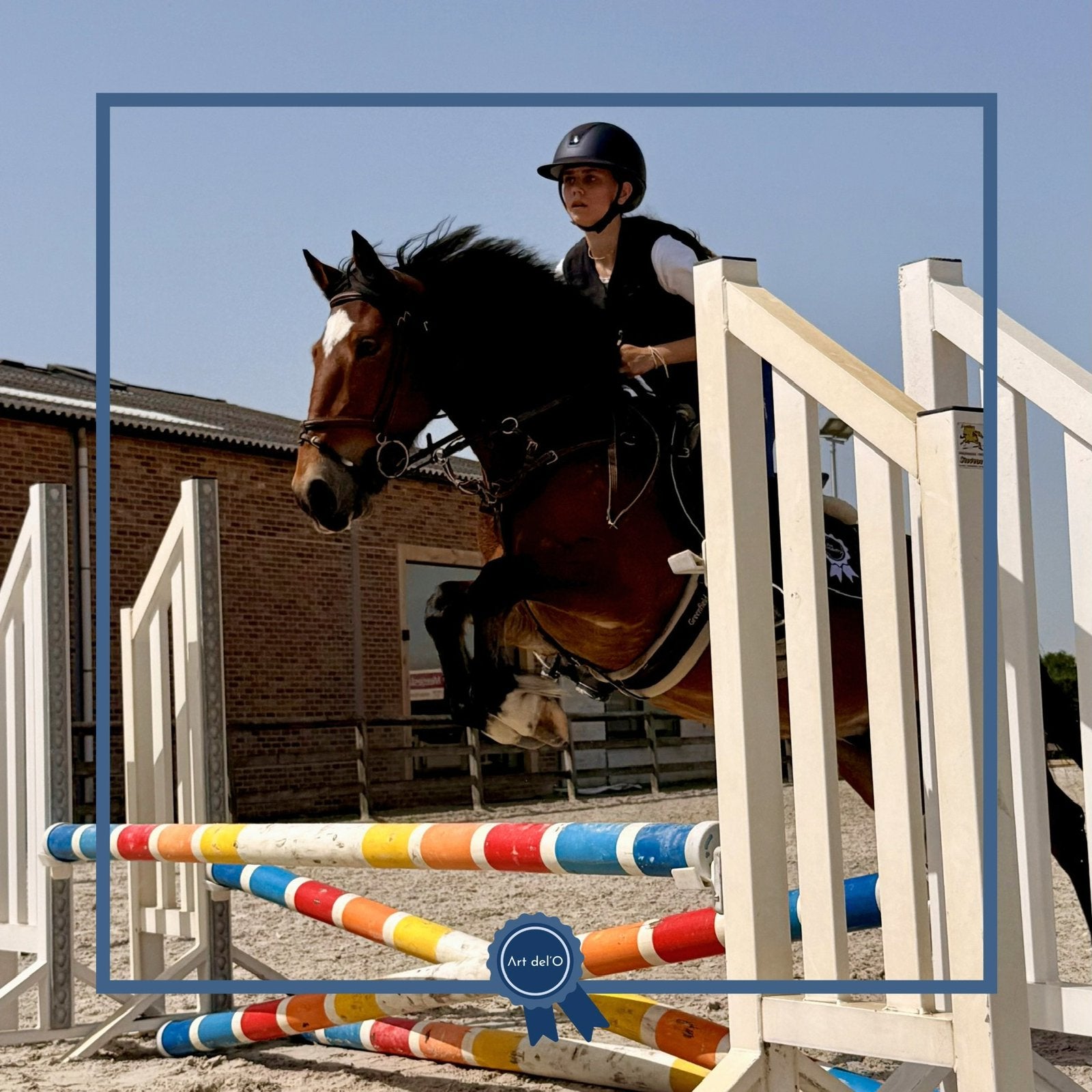 Fijne jonge D-pony, Dieren en Toebehoren, Gechipt, B, Ruin, 3 tot 6 jaar