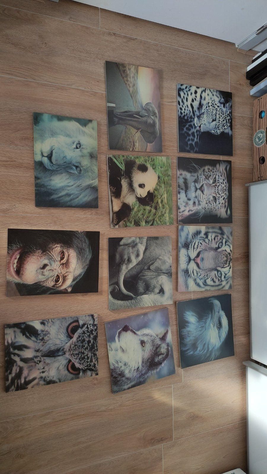 11x 3d schilderij van hout, Ophalen, Minder dan 50 cm, Gebruikt, Schilderij