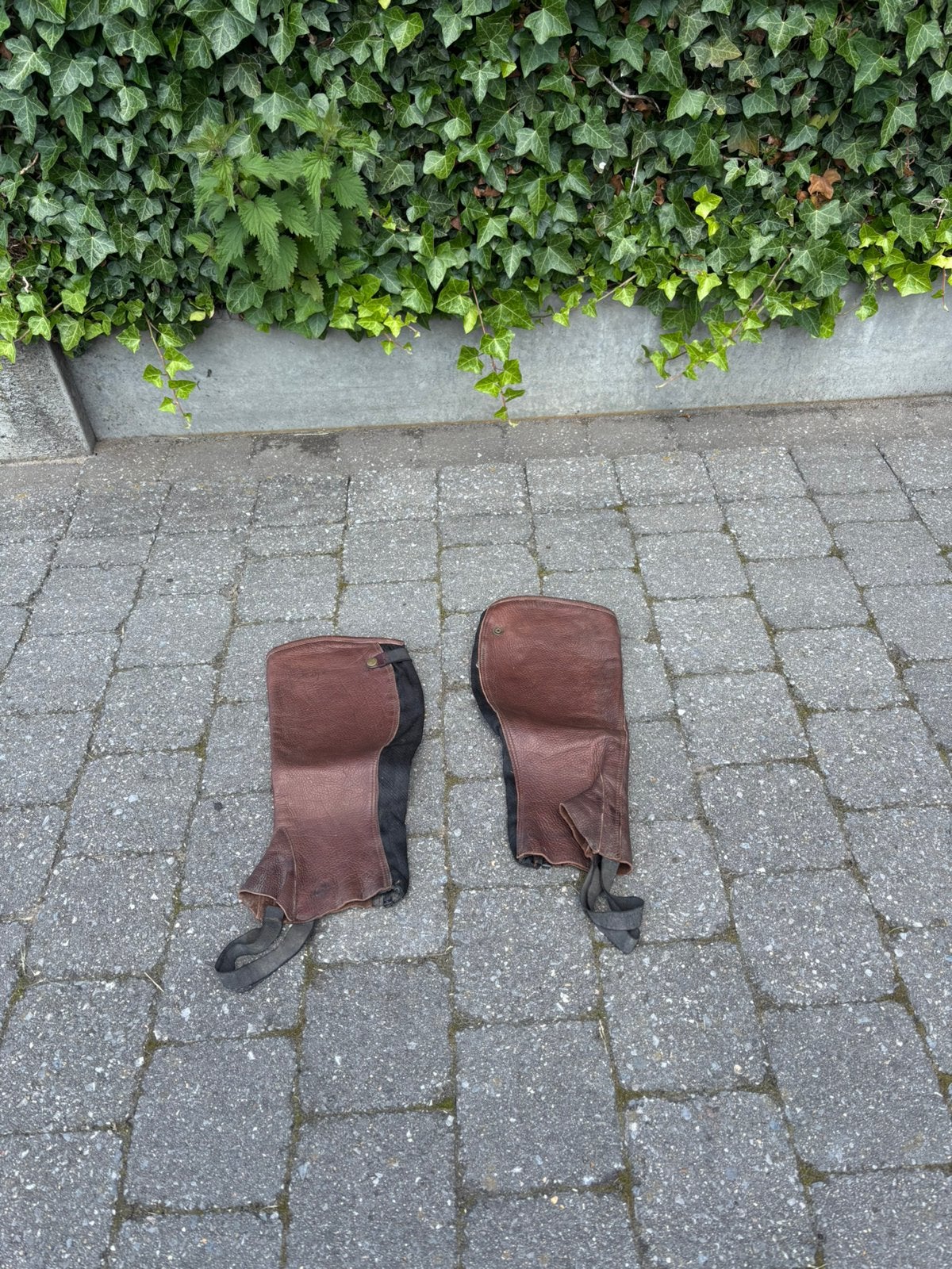Chaps, Dieren en Toebehoren, Ophalen, Gebruikt, Schoeisel