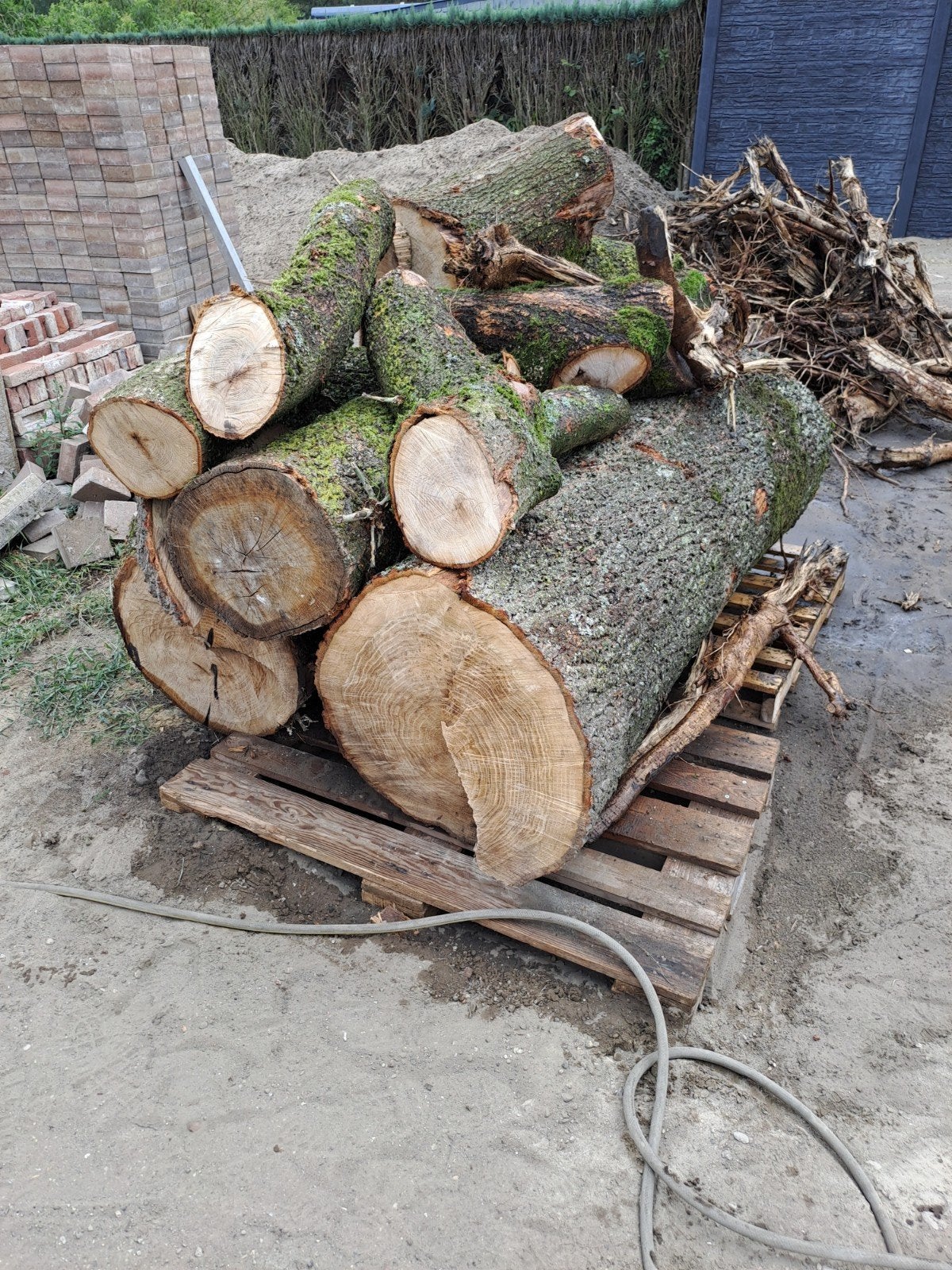 Eiken brandhout, Ophalen
