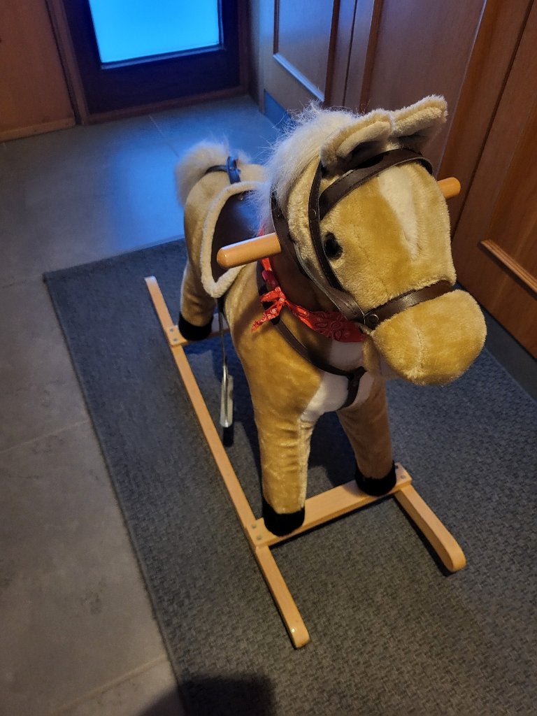 Speelgoed, Kinderen en Baby's, Speelgoed | Houten speelgoed, Ophalen, Zo goed als nieuw, Rij- of Hobbelspeelgoed