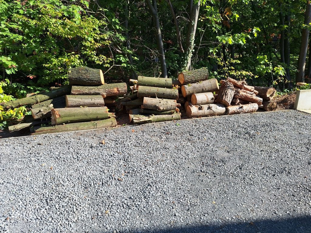 Brandhout, 3 à 6 m³, Enlèvement, Chêne, Troncs d'arbres