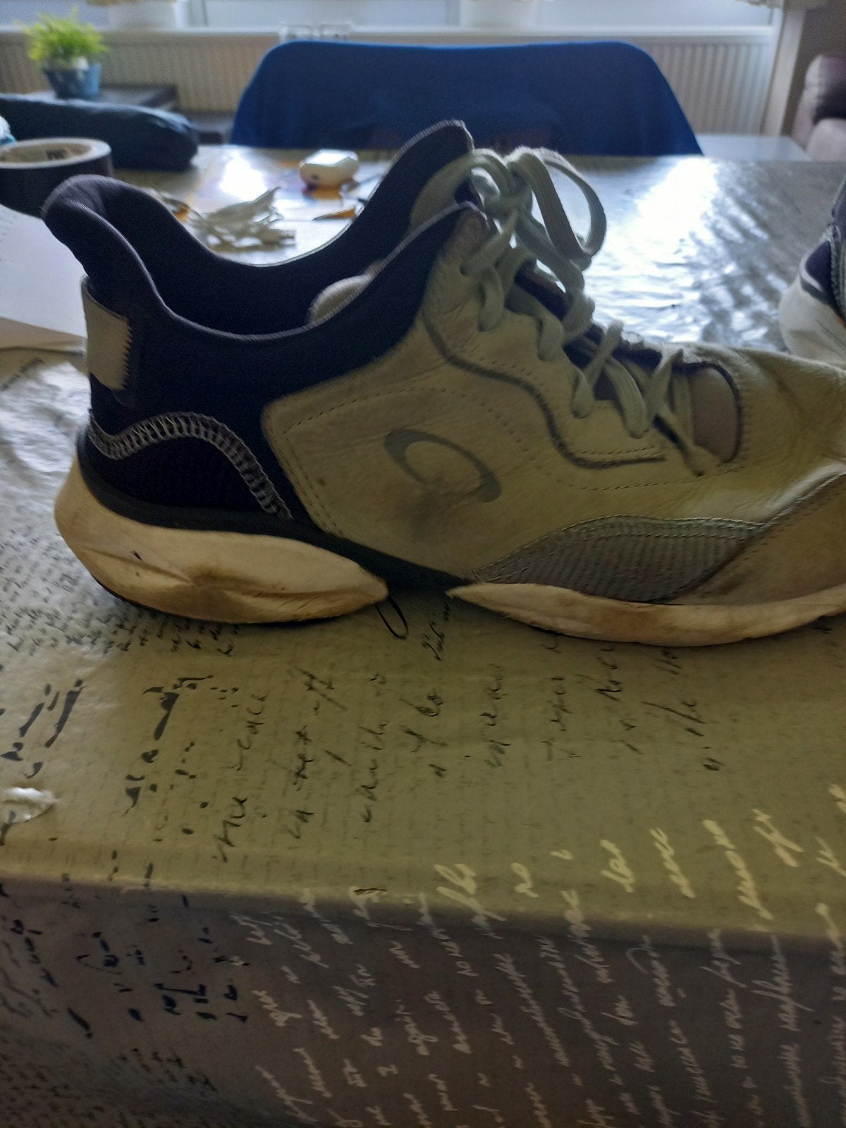 sneaker grijs merk oackley te koop maat 46, Autres couleurs, Enlèvement, Oackley, Porté