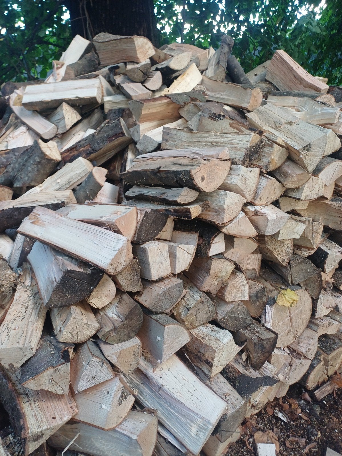 bois de chauffage extra sec, Jardin & Terrasse, Enlèvement ou Envoi