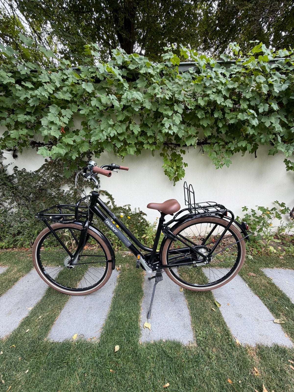 Giant fiets, Ophalen, Gebruikt