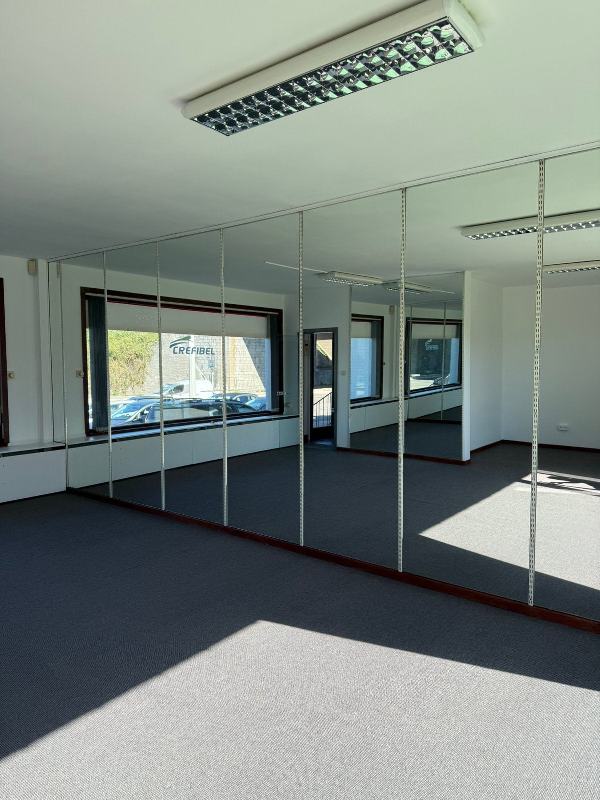 GRANDS MIROIRS MURAUX, Enlèvement, Comme neuf, Rectangulaire