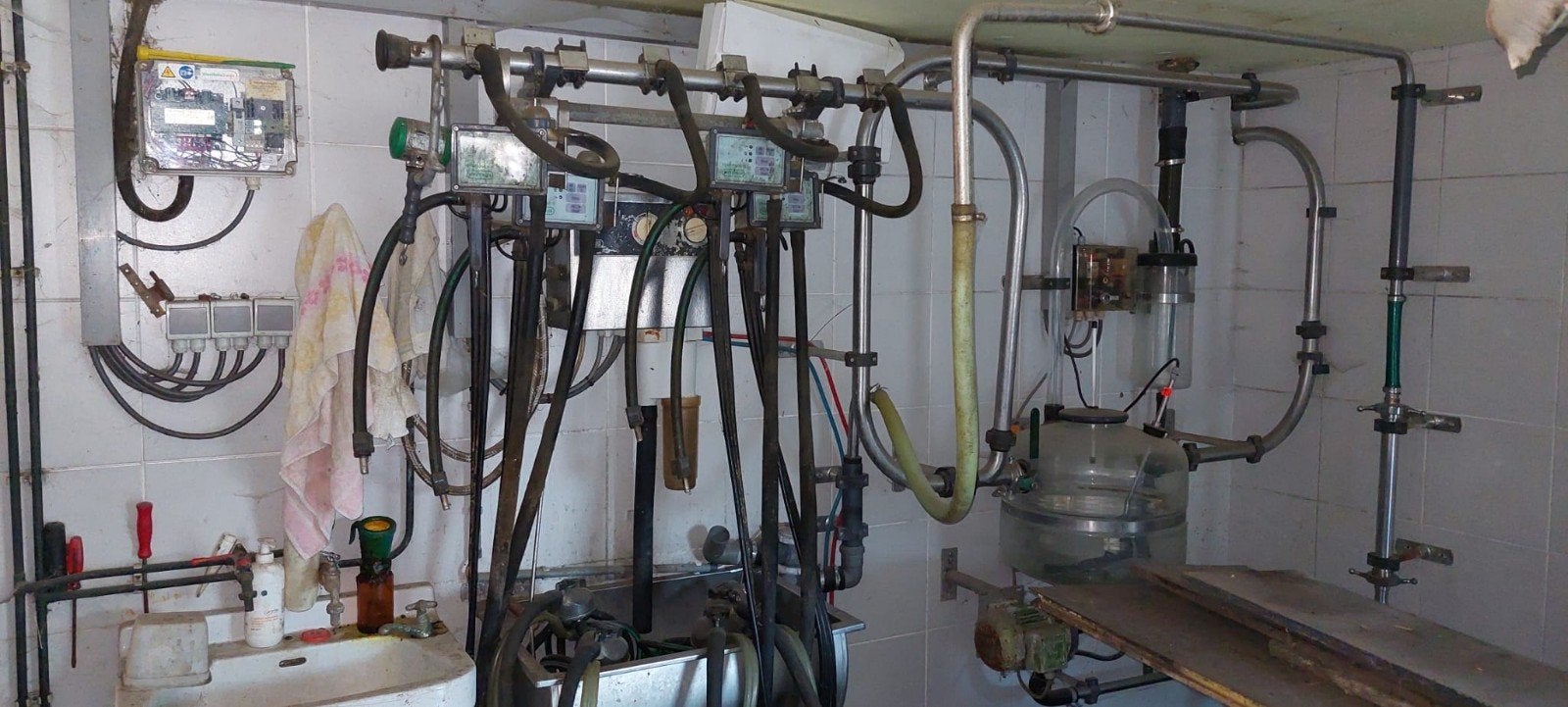 Onderdelen melkmachine, Dieren en Toebehoren, Runderen