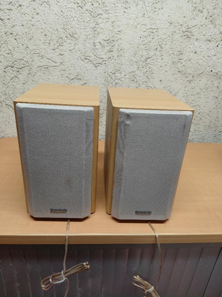 Haut parleur Panasonic, Audio, Tv en Foto, Luidsprekerboxen, Ophalen, Gebruikt