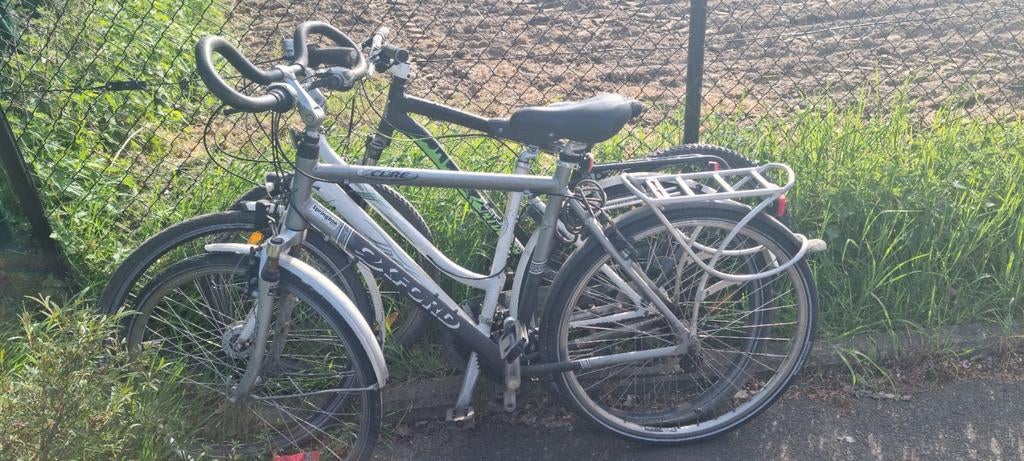 Fiets, Fietsen en Brommers, Fietsen | Heren | Herenfietsen, Ophalen
