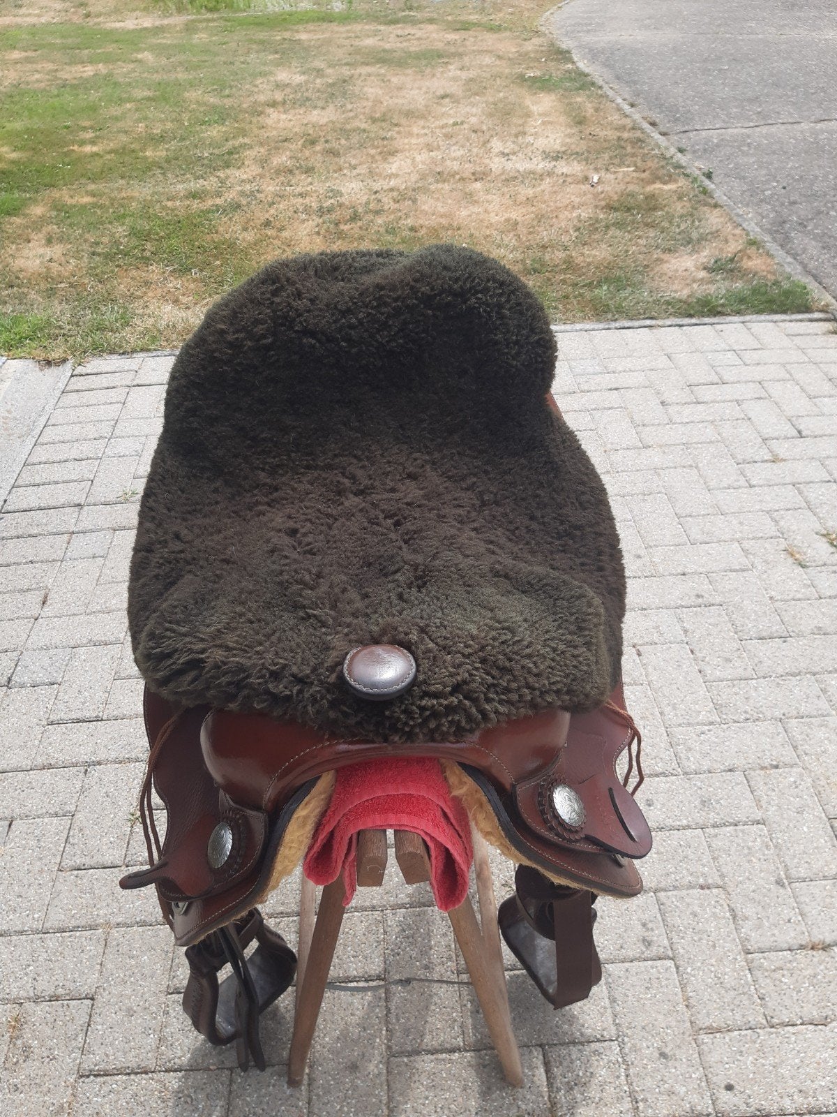 Westernzadel, Dieren en Toebehoren, Ophalen