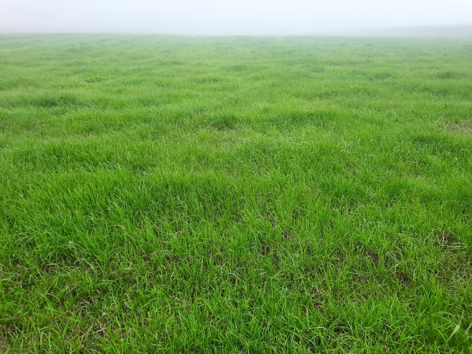 Gezocht: landbouw grond voor seizoenspacht / cultuurcontract