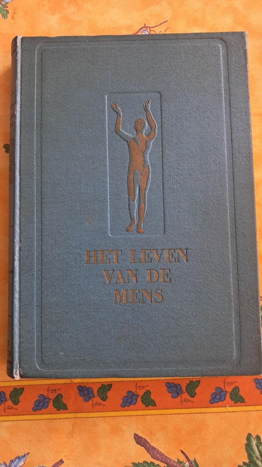 Het leven van de mens - goede staat, Antiek en Kunst, Antiek | Boeken en Manuscripten, Ophalen