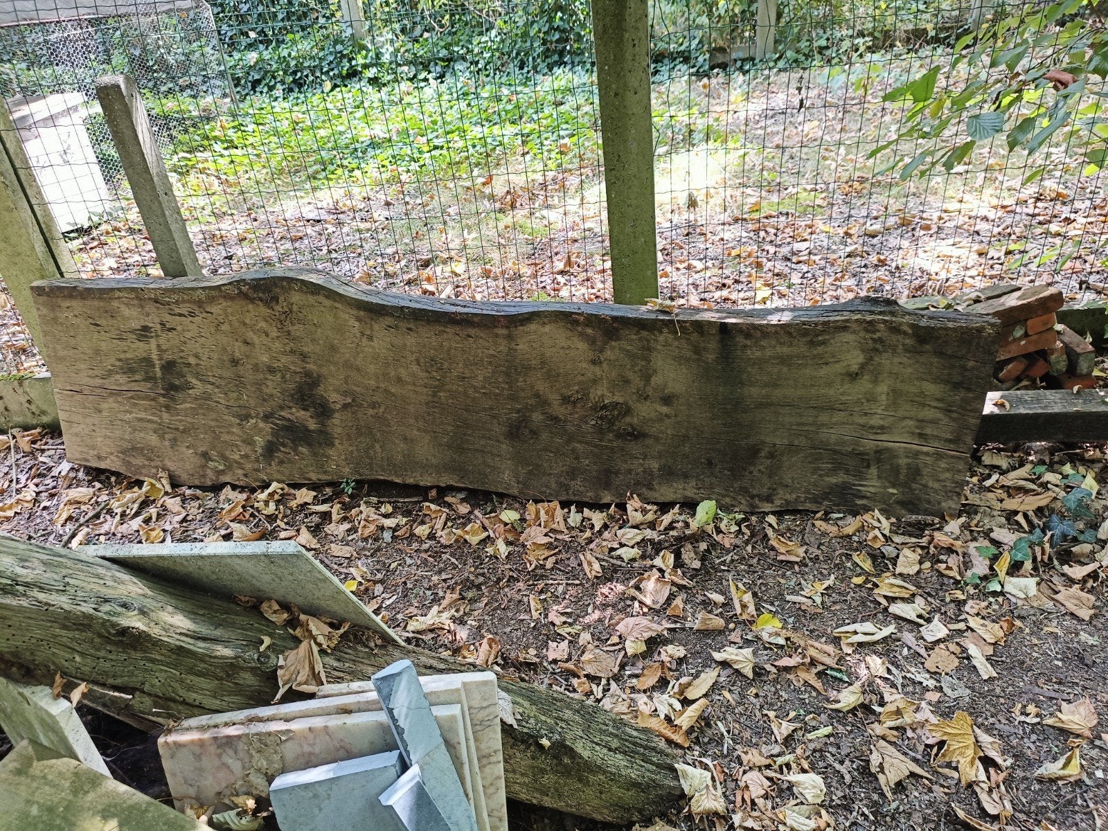 chêne, bois, coque, Enlèvement