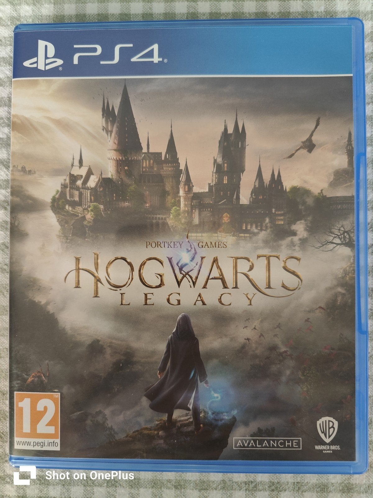 DISQUE PS4 HOGWARTS LEGACY, Consoles de jeu & Jeux vidéo, Enlèvement