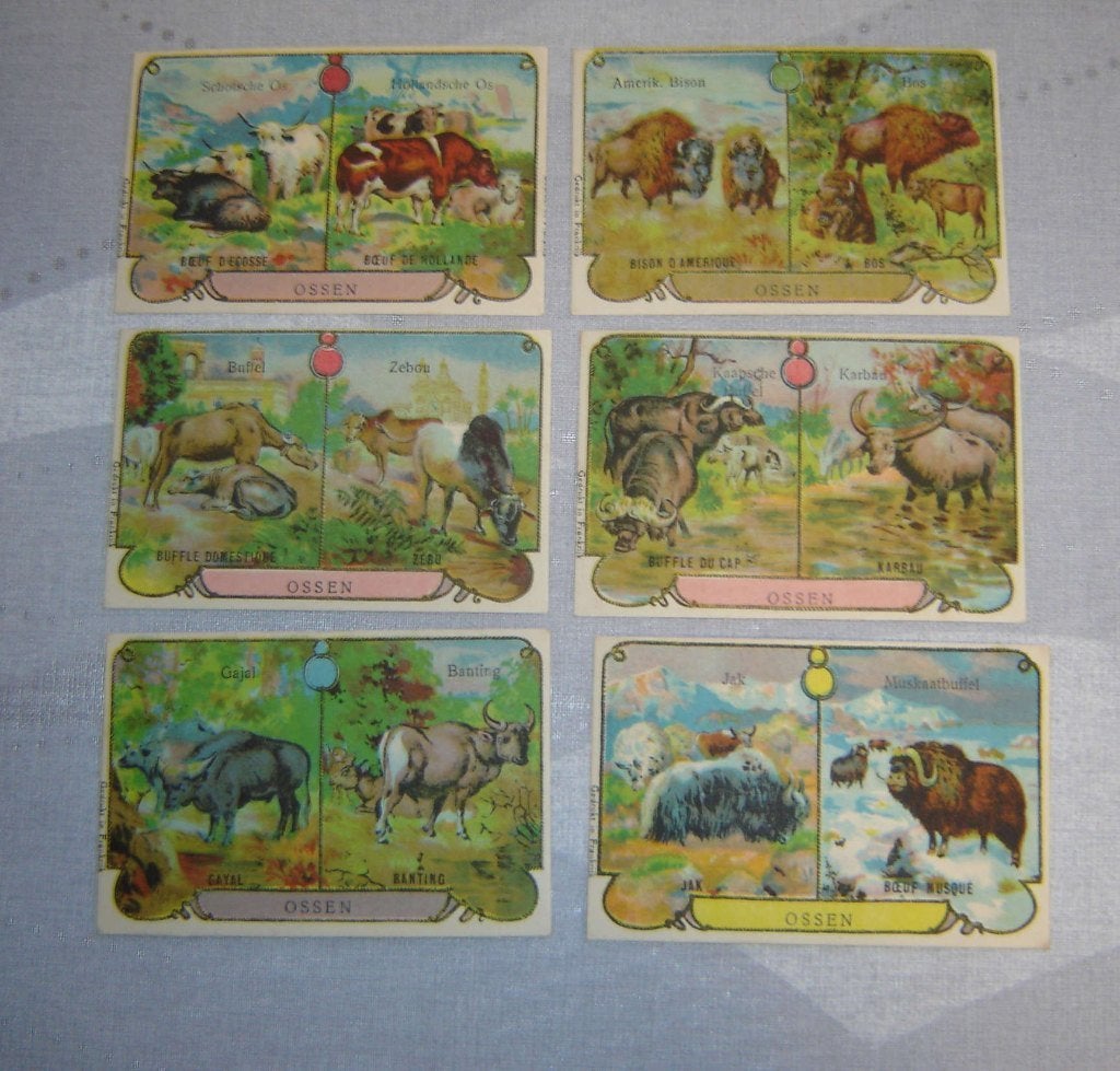 Série de bandes chromées OSEN, Avant 1940, Gravure, Utilisé, Autres sujets/thèmes