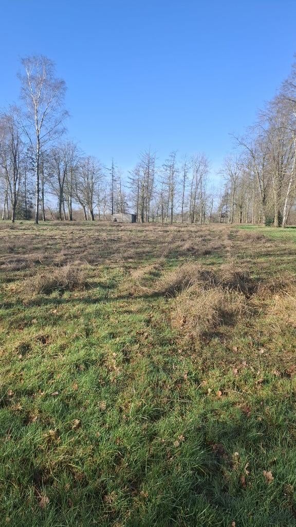 1,5ha grond te huur - volledig omheind, Immo, OUDSBERGEN, 1500 m² of meer