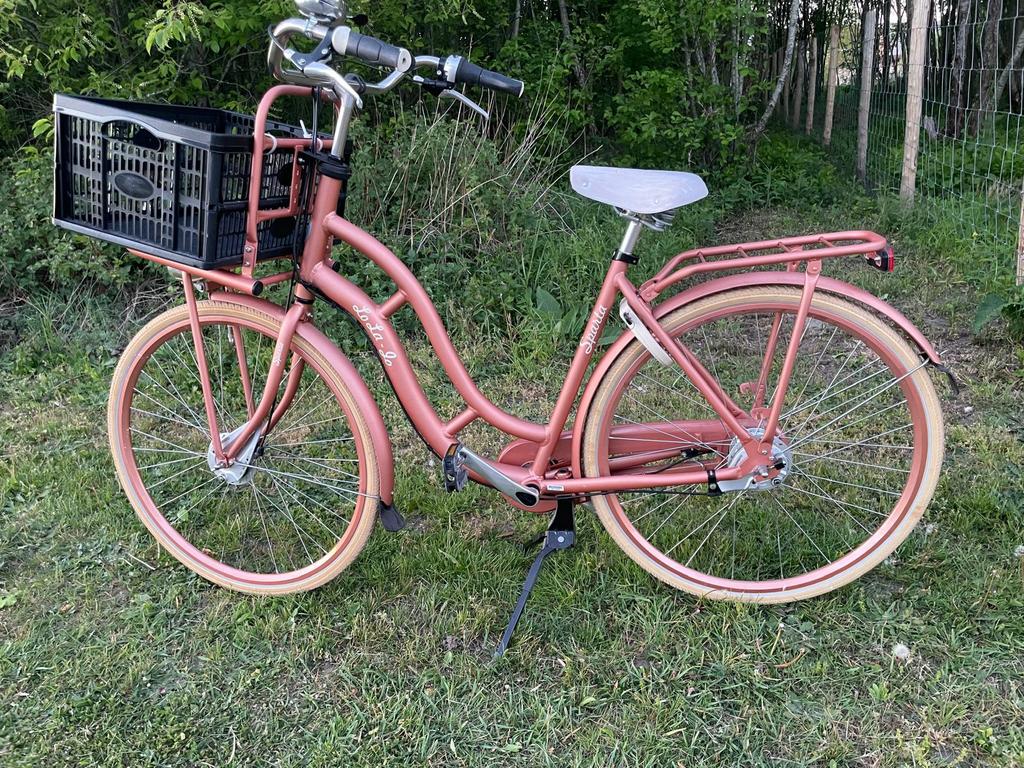 Sparta Lola Go stadsfiets (garantie tot 2/6/2027), Fietsen en Brommers, Ophalen, Zo goed als nieuw, Sparta, Versnellingen