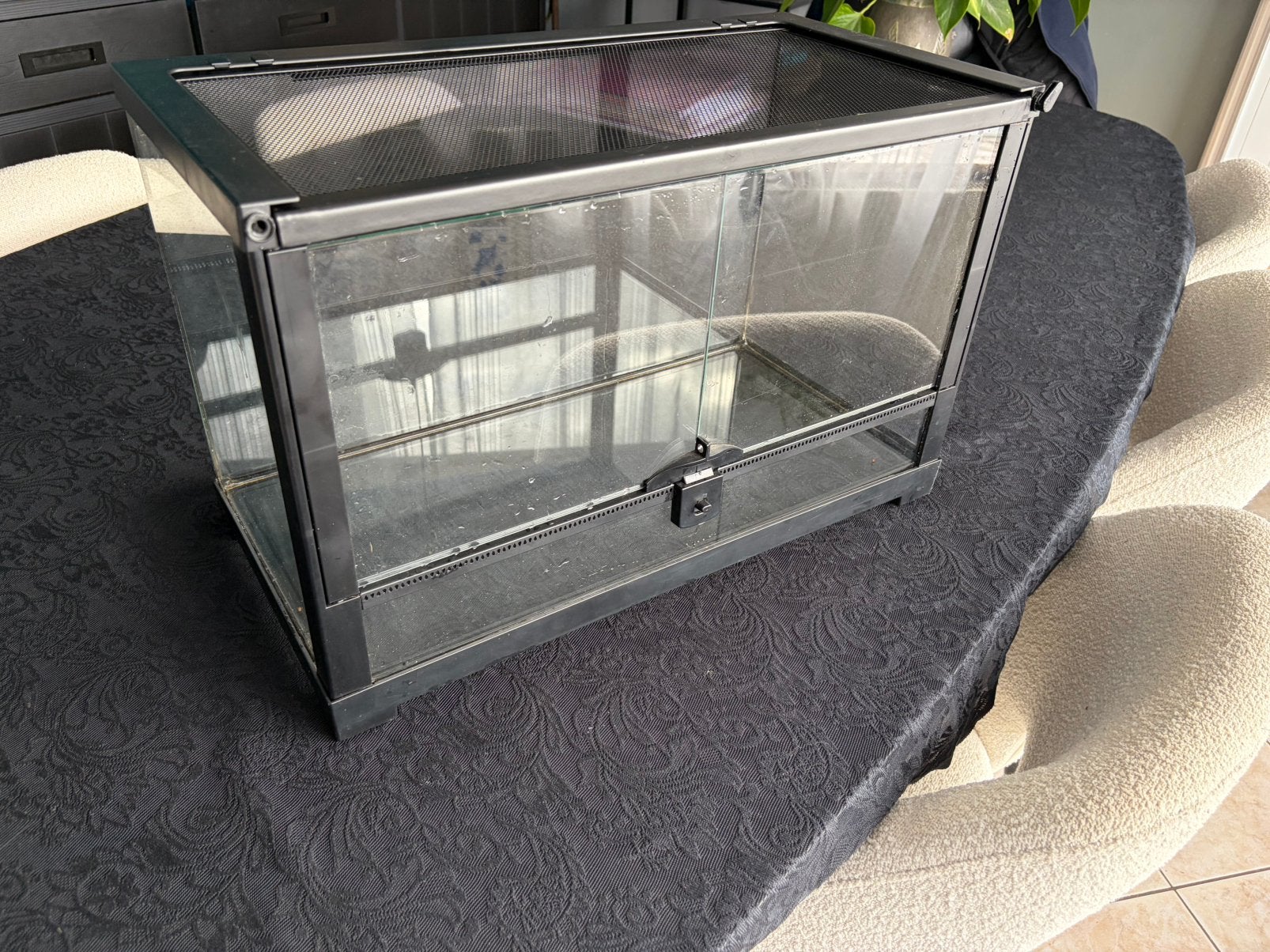 Terrarium 51x25x30 cm, Animaux & Accessoires, Reptiles & Amphibiens | Accessoires, Enlèvement, Utilisé, Terrarium ou Paludarium