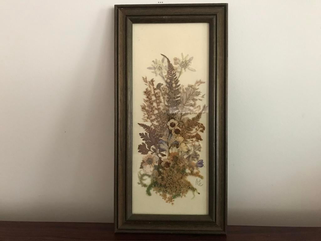 Lijst kader droogbloemen achter glas, Ophalen of Verzenden