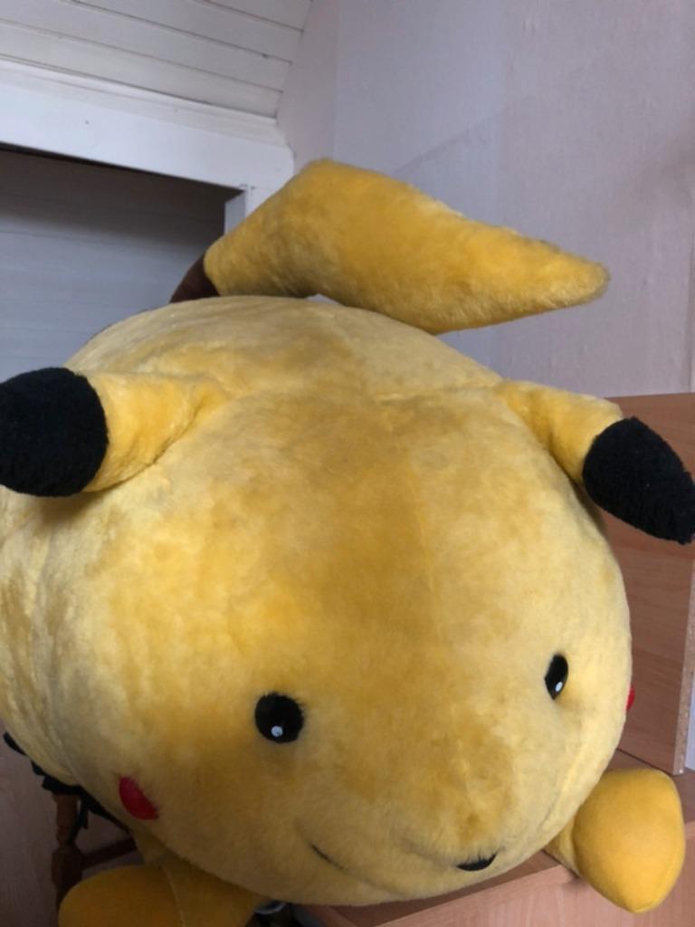 grote plunche pokemon, Enlèvement ou Envoi, Utilisé