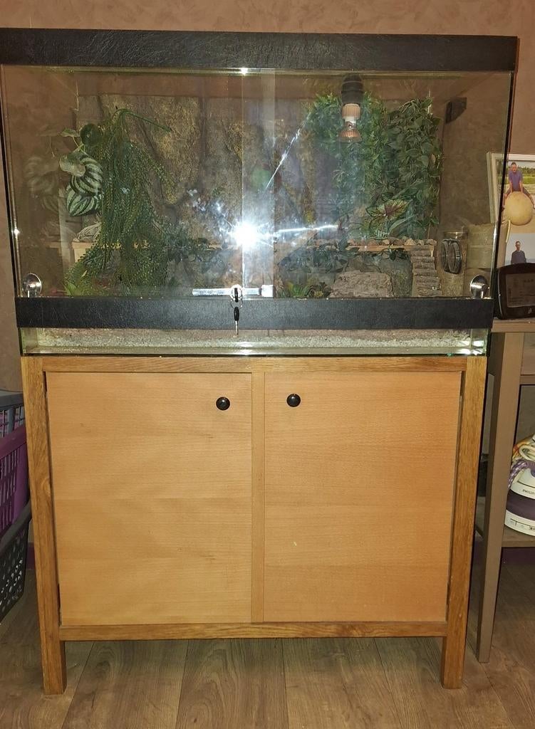 Terrarium, Animaux & Accessoires