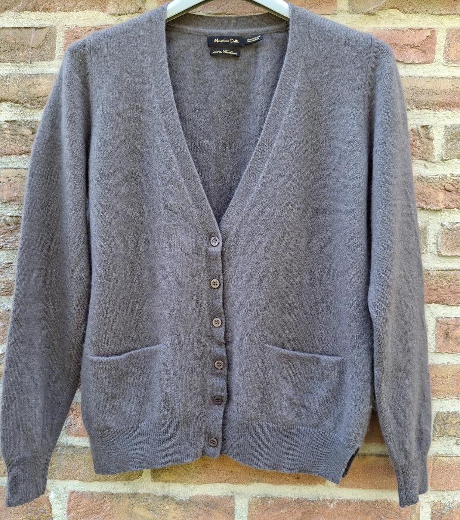 100% Cashmere cardigan - Massimo Dutti - maat 36, Ophalen of Verzenden, Zo goed als nieuw, Maat 36 (S), Grijs