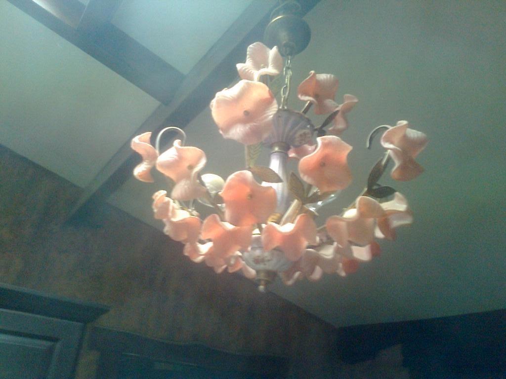 luster met glazen bloemenkapjes, Ophalen