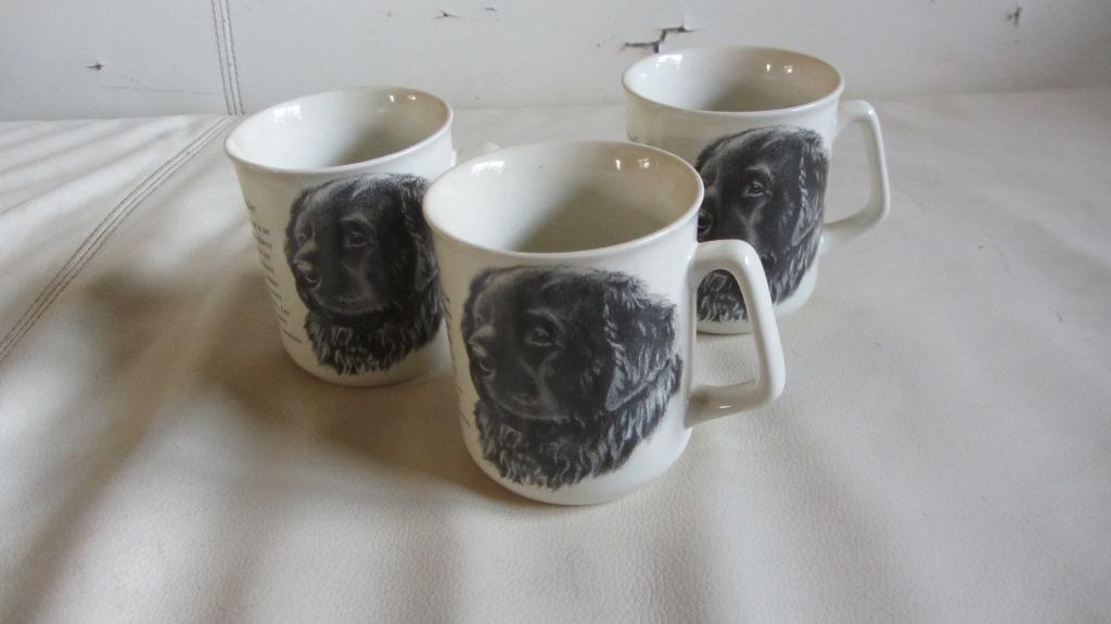 Mug ( tasse ) motif chien Terre Neuve, Enlèvement ou Envoi, Neuf