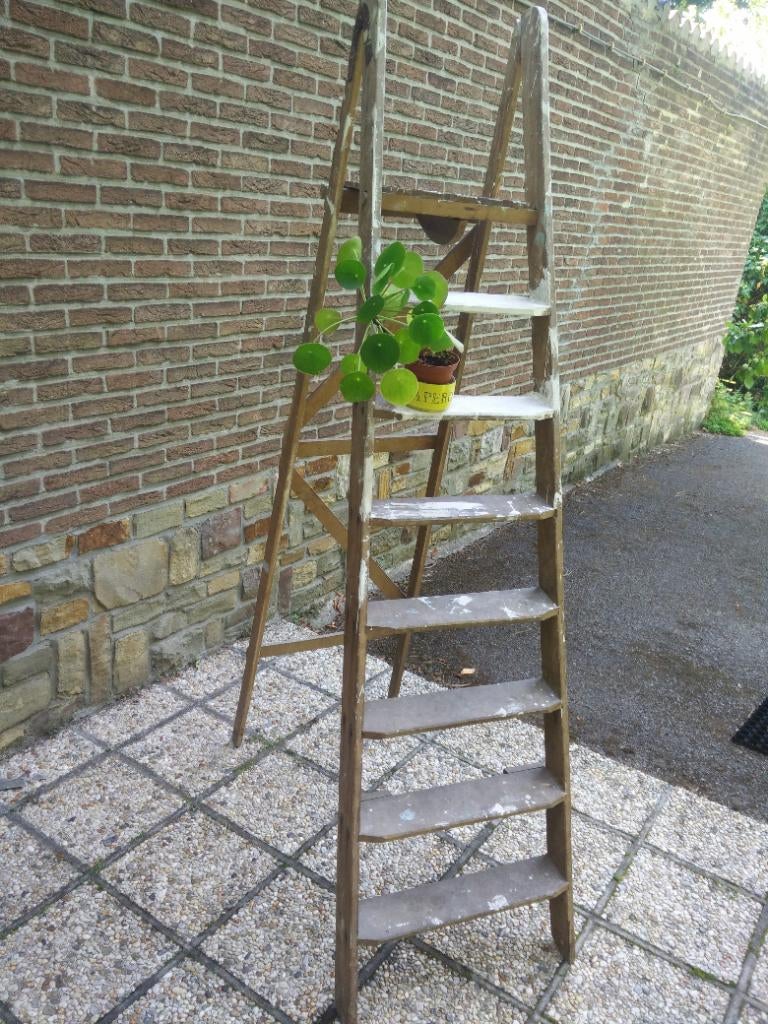 Vintage ladder hout, Doe-het-zelf en Bouw, Ladders en Trappen, Ophalen, Ladder
