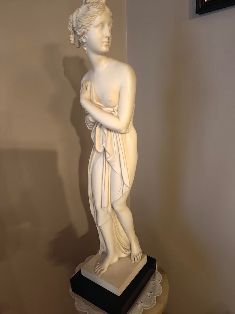 Venus Italica gemaakt uit marmer, albast en hars., Ophalen