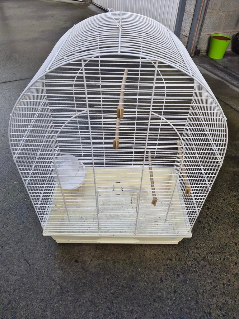 À vendre Birdcage White, Animaux & Accessoires, Enlèvement, Utilisé, Autres matériaux, Cage à oiseaux