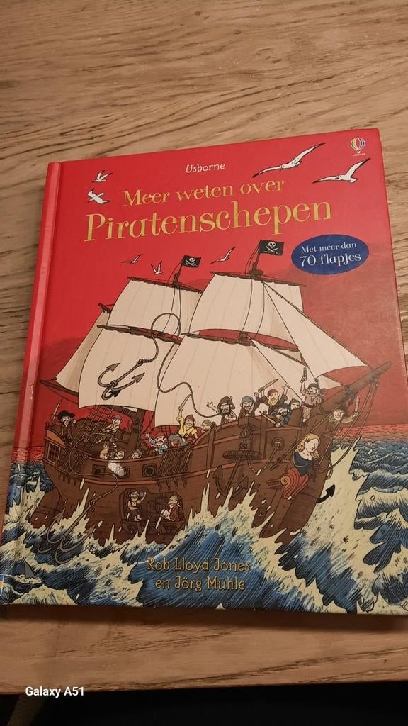 Meer weten over piratenschepen - Usborne, Boeken, Ophalen of Verzenden, Zo goed als nieuw
