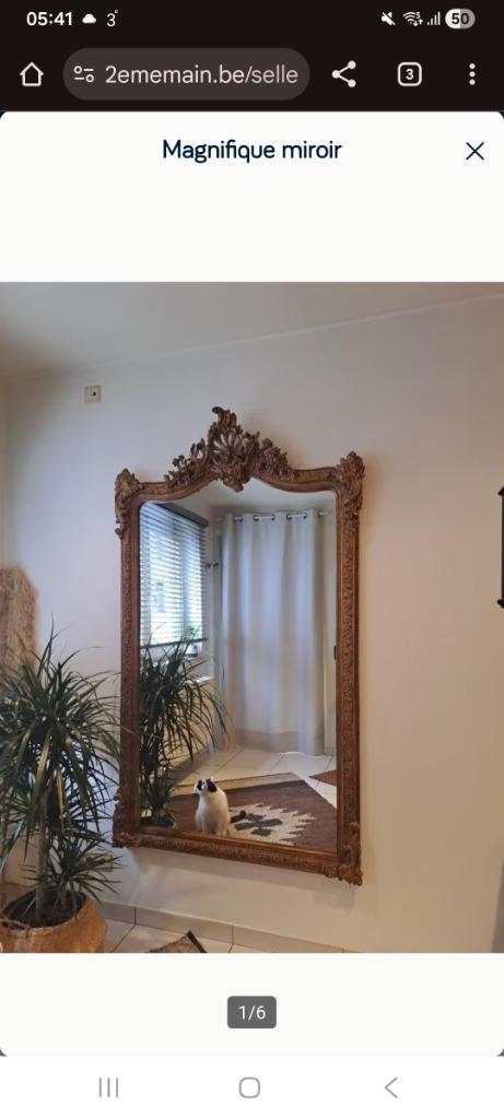 Magnifique miroir, Antiquités & Art, Antiquités | Miroirs, Enlèvement, Rectangulaire, 100 à 150 cm, 200 cm ou plus