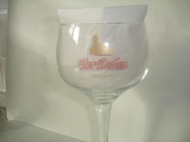 Bierglas Ter Dolen, 33cl, Kasteelbrouwerij Ter Dolen, Verzamelen, Ophalen of Verzenden, Zo goed als nieuw, Glas of Glazen, Overige merken
