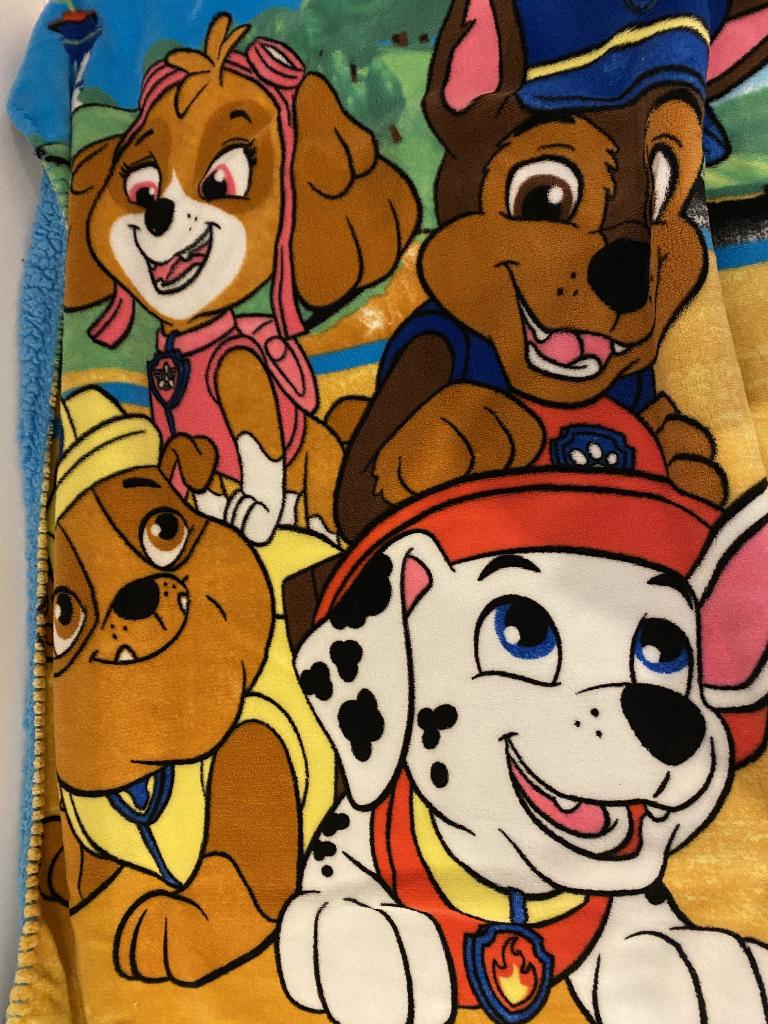 Deken Paw Patrol, Ophalen, Zo goed als nieuw, 70 tot 85 cm, Deken