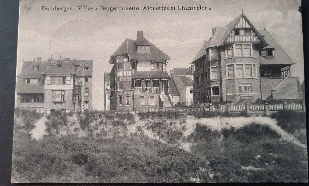 DUINBERGEN VILLAS Alouettes et Bergeronnette, Verzamelen, Ophalen of Verzenden