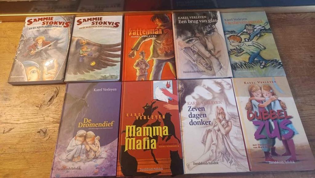 Lot boeken Karel Verleyen, Boeken, Ophalen of Verzenden, Zo goed als nieuw, Karel Verleyen