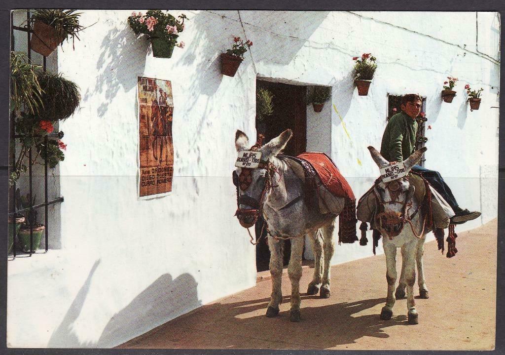 1.860 Ezel Mijas, Envoi