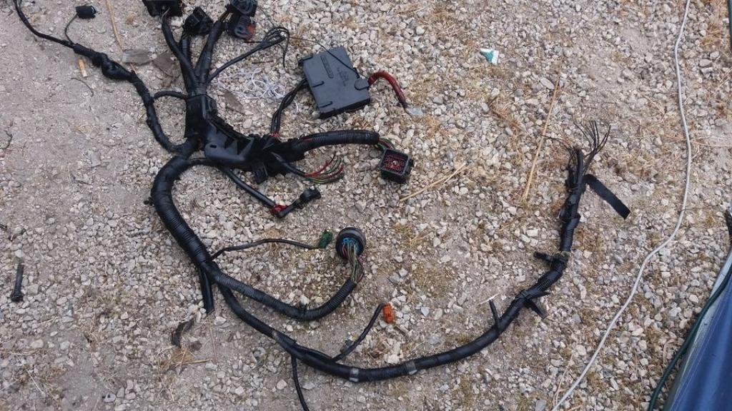Complete motorkabelboom Ford Fiesta 1.4tdci 2002-2008, Ophalen of Verzenden, Ford
